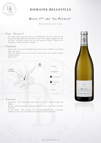Domaine Belleville Rully 1er Cru La Chapitre Blanc 2022 750ml